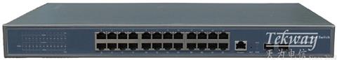 TW-SNMP-PoE-2024G